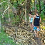 Paperbark Farm, near Darwin