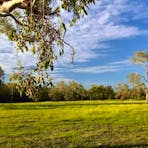 Paperbark Farm, near Darwin