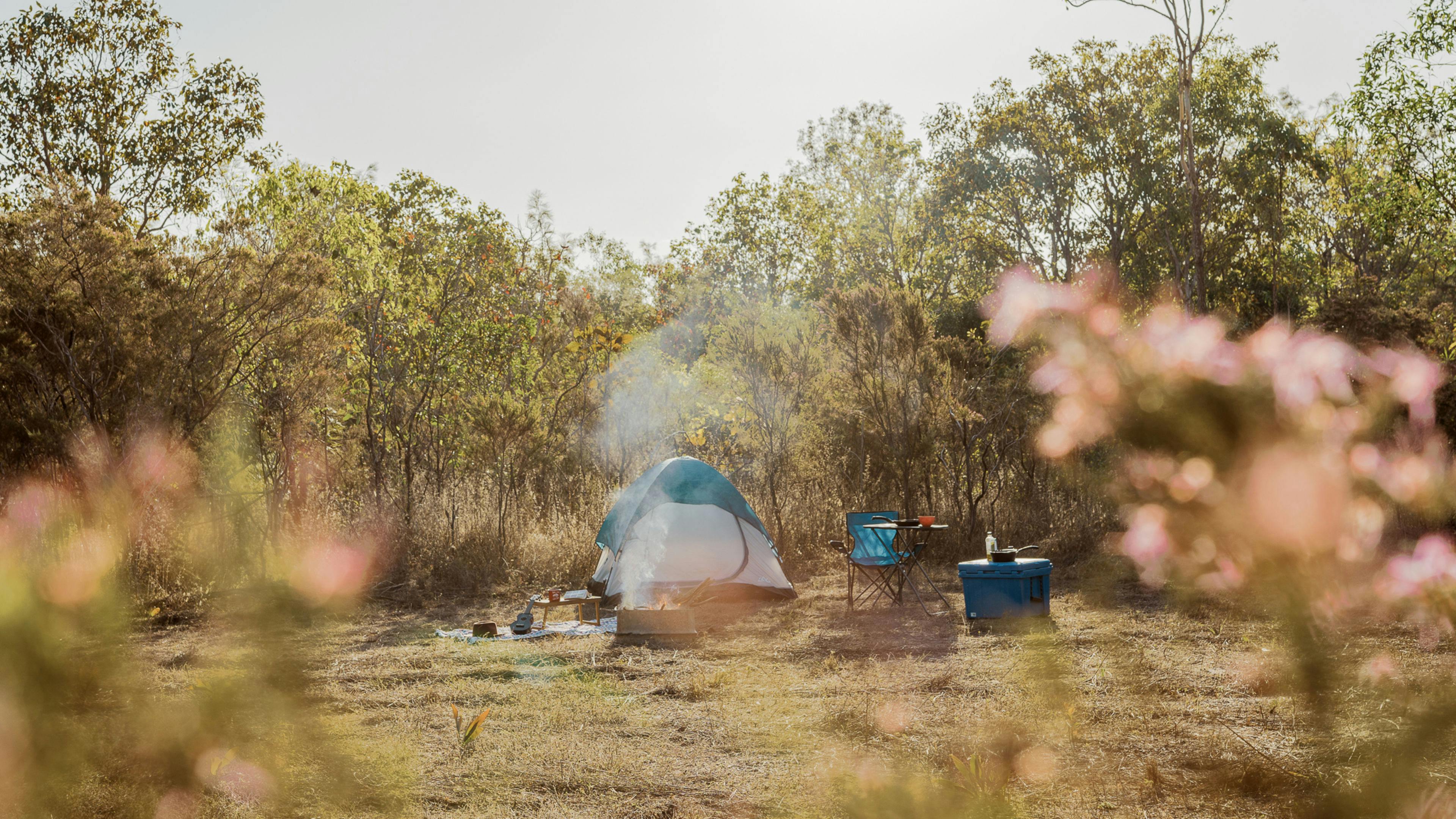 Parson Springs Bush Stay