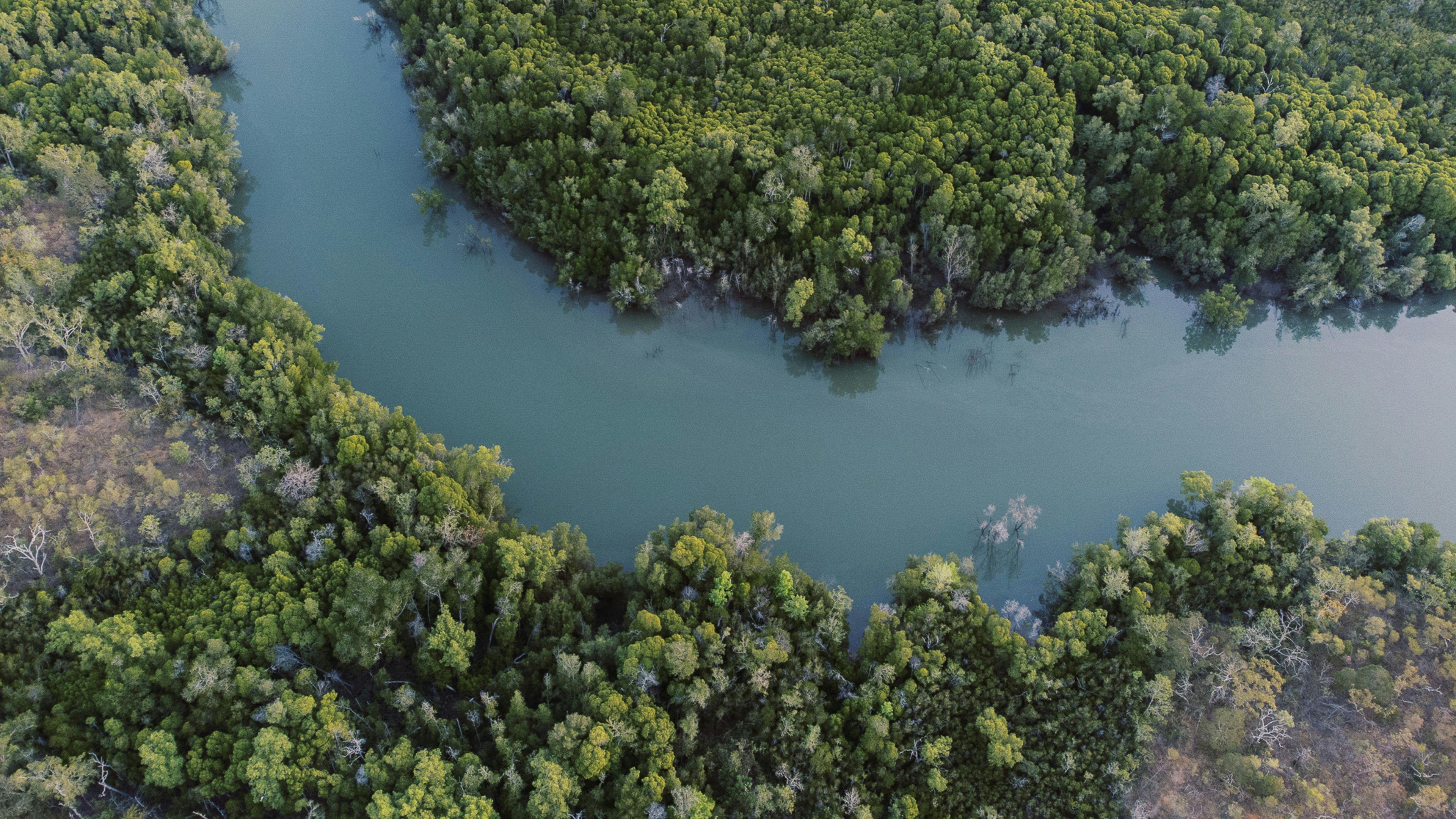 This river looks amazing from a bird's eye view but swimming is not recommended. 🐊