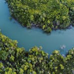 This river looks amazing from a bird's eye view but swimming is not recommended. 🐊