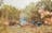 Parson Springs Bush Stay