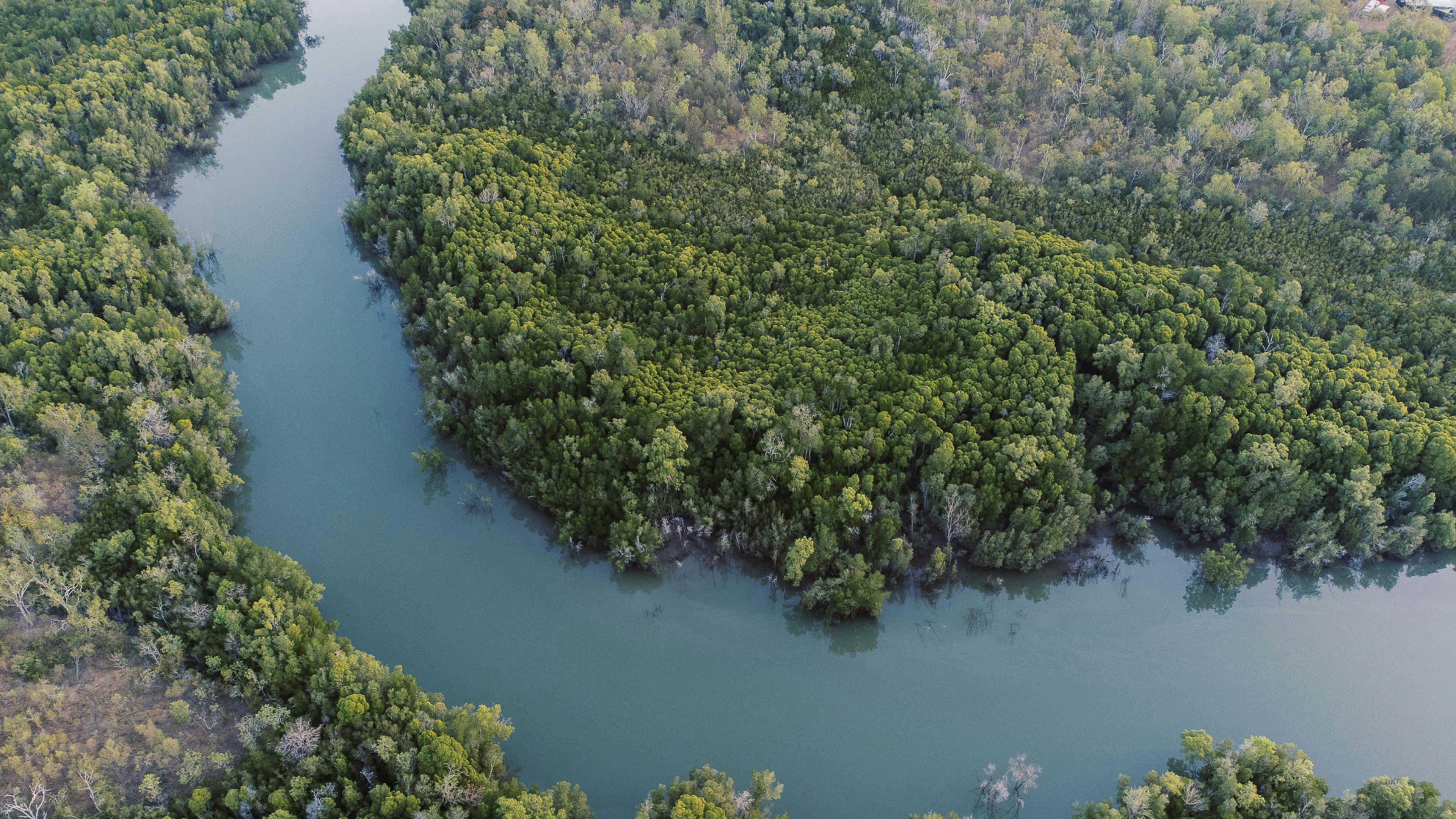 This river looks amazing from a bird's eye view but swimming is not recommended. 🐊