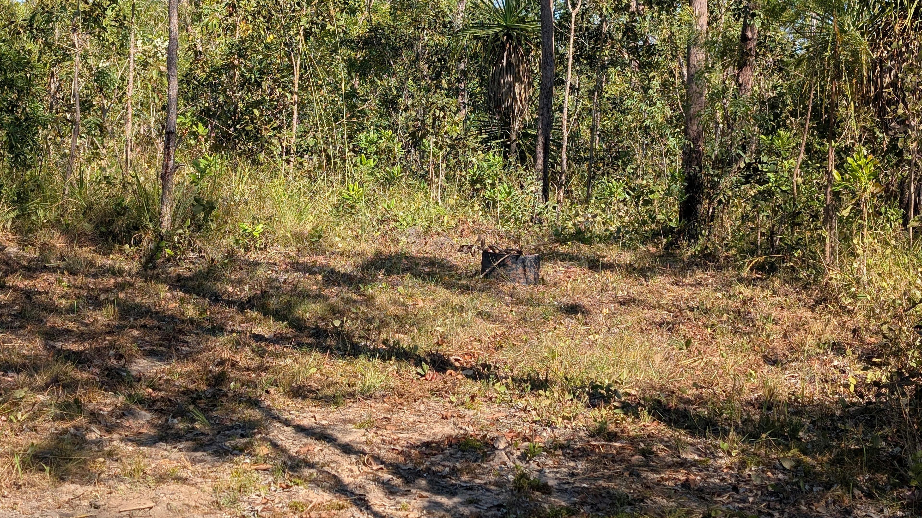 Banksai Bush Sites