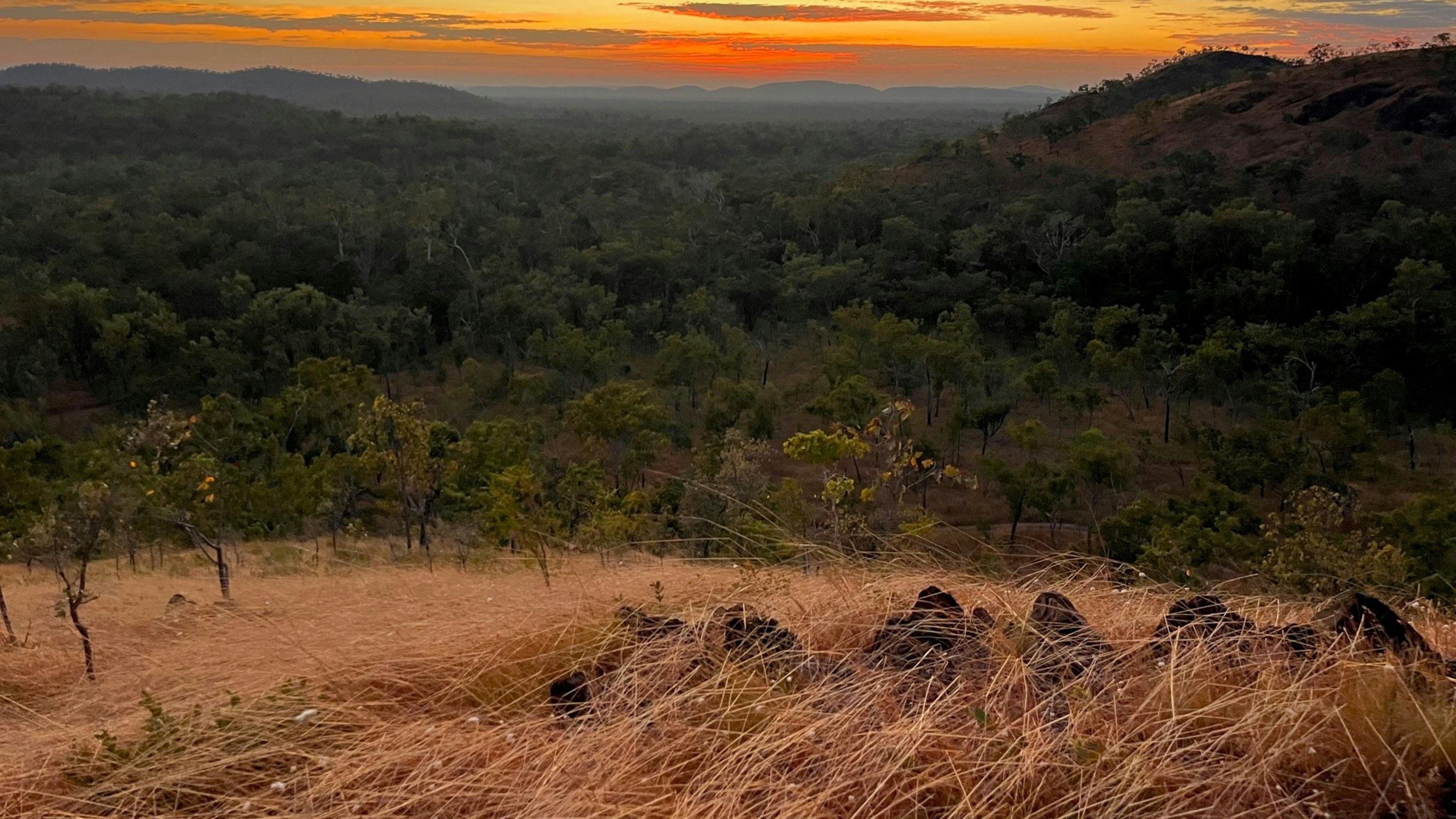 Anniversary Ridge Wilderness Park