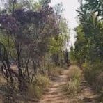 Railside Campground