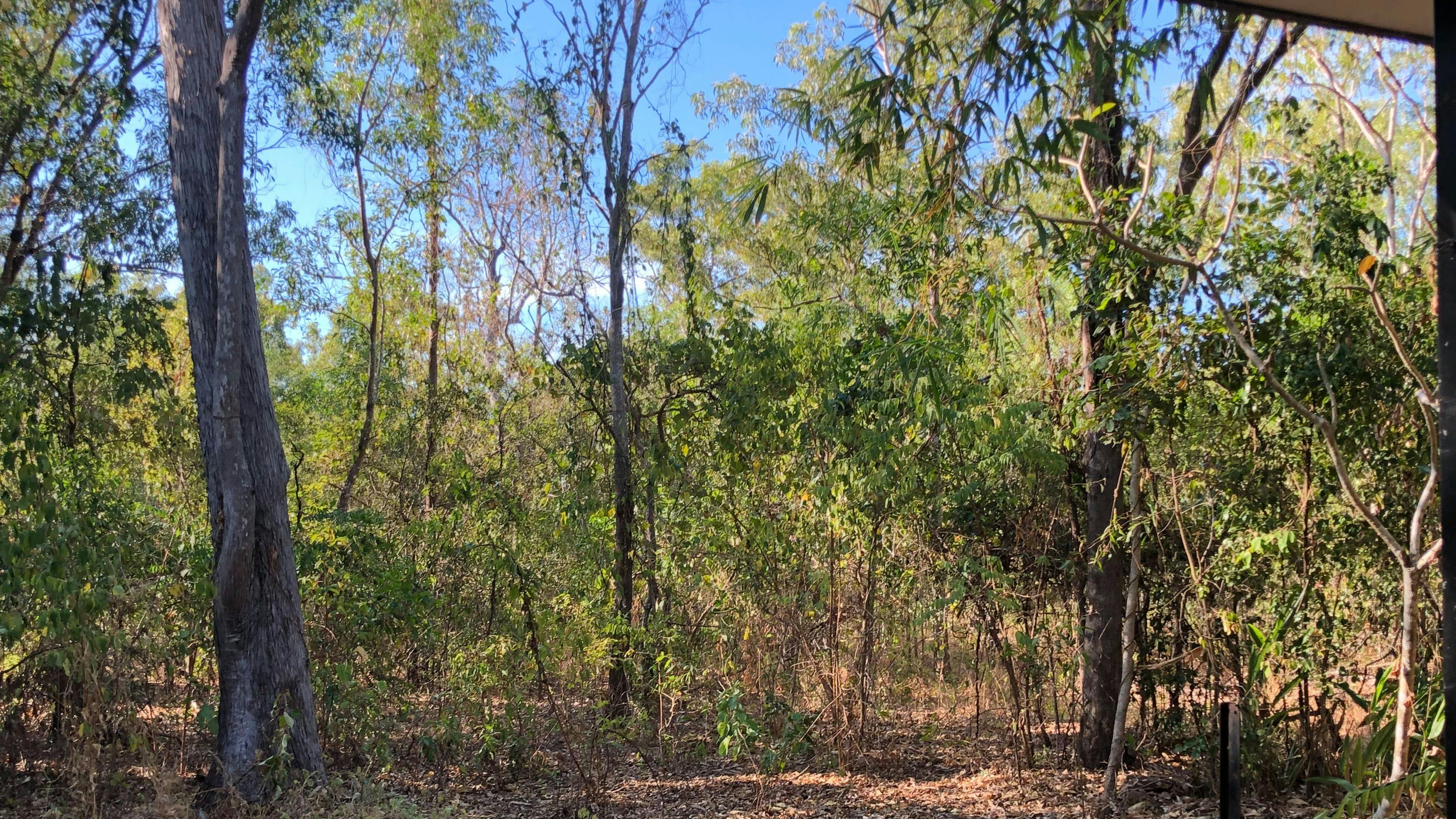 Wagait Bush Block