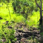 Rum Jungle Ridge
