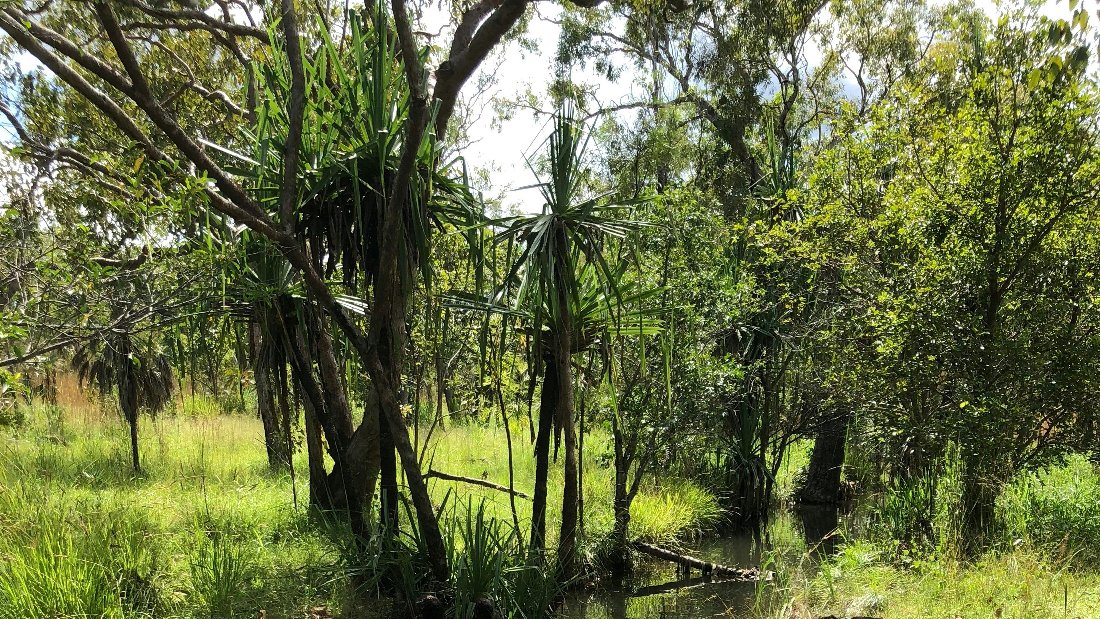 Rum Jungle Ridge