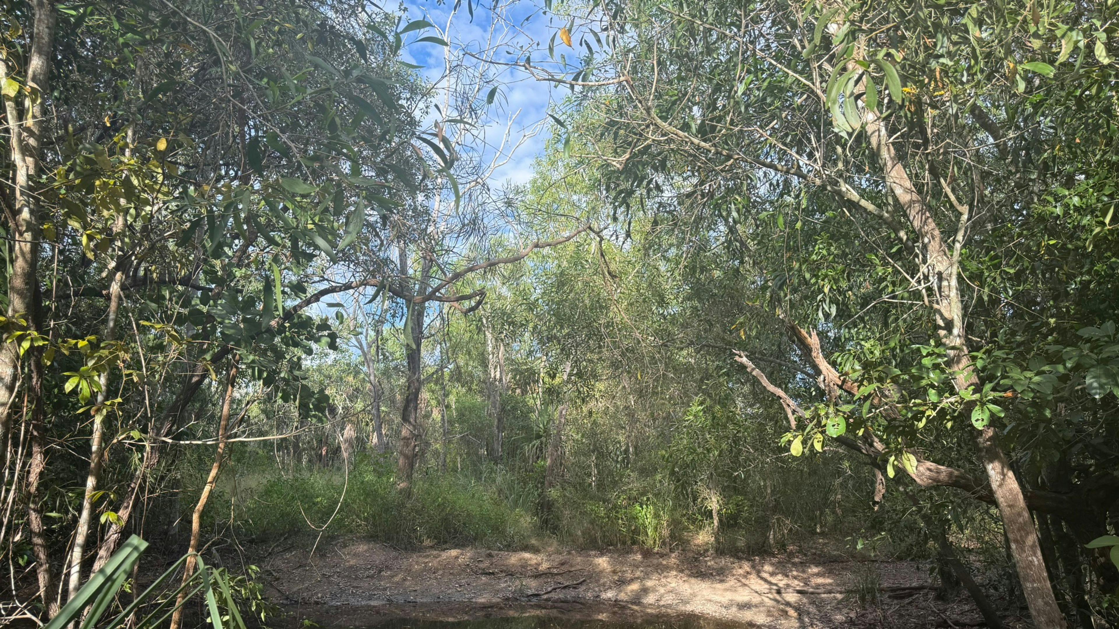 Bamboo Retreat