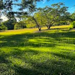 Sunny’s Acres
