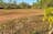 Territory Rural Backyard