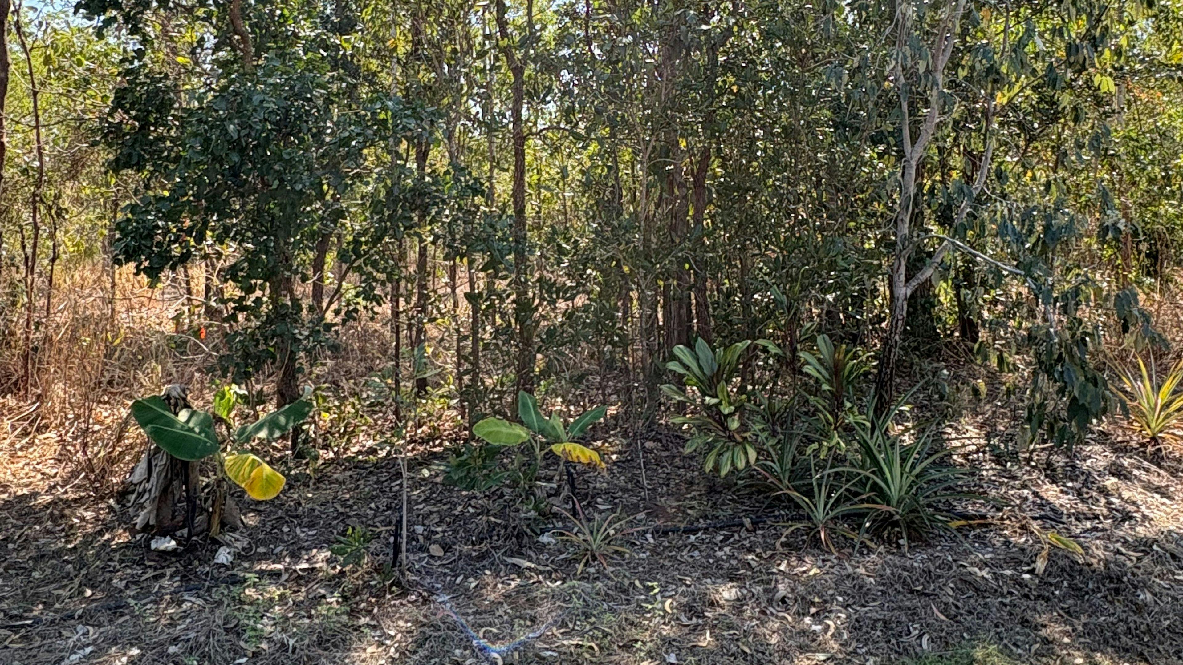 Girraween Bush Retreat