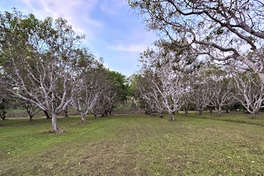 Top End Treasure