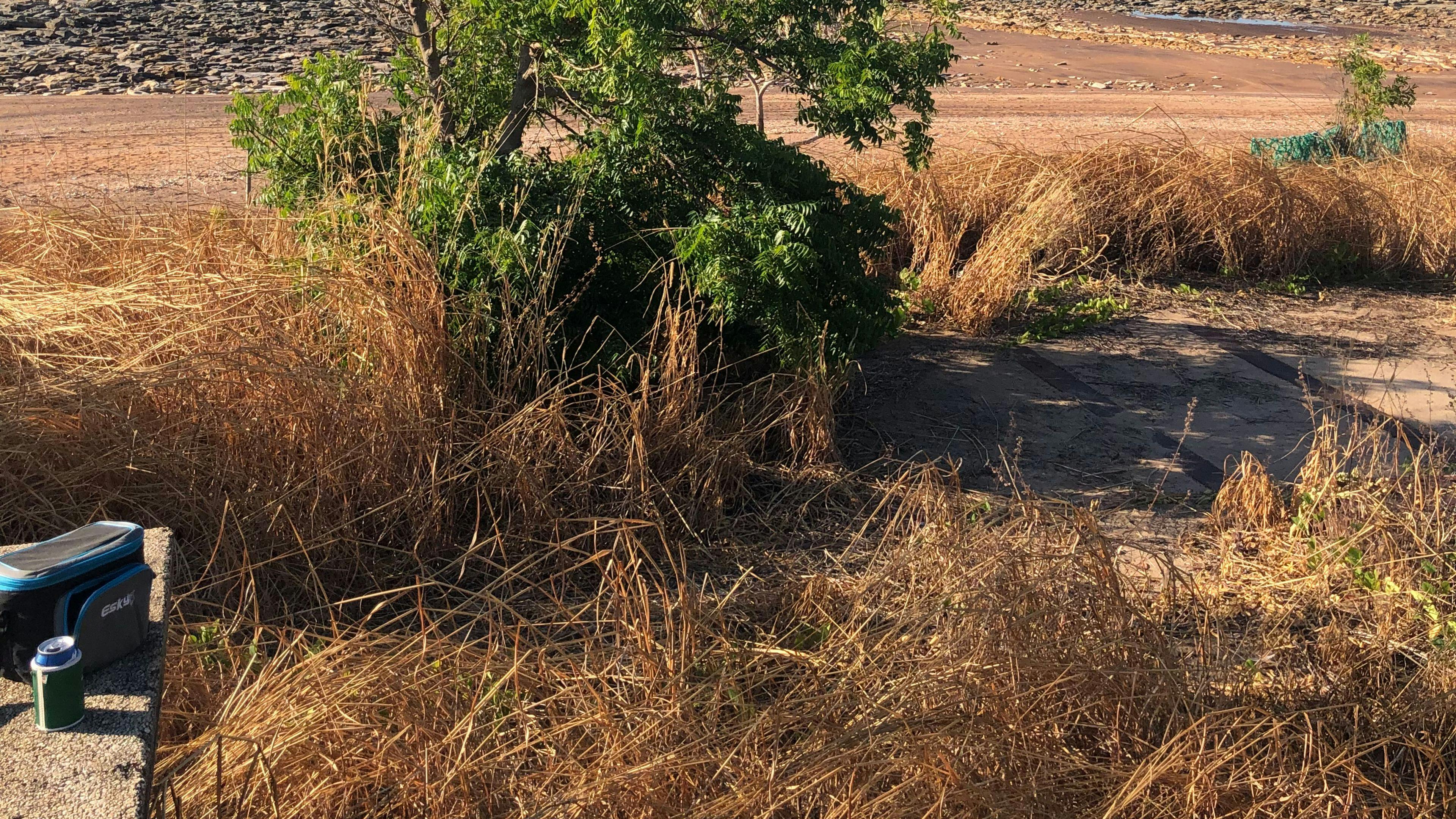 Wagait Bush Block