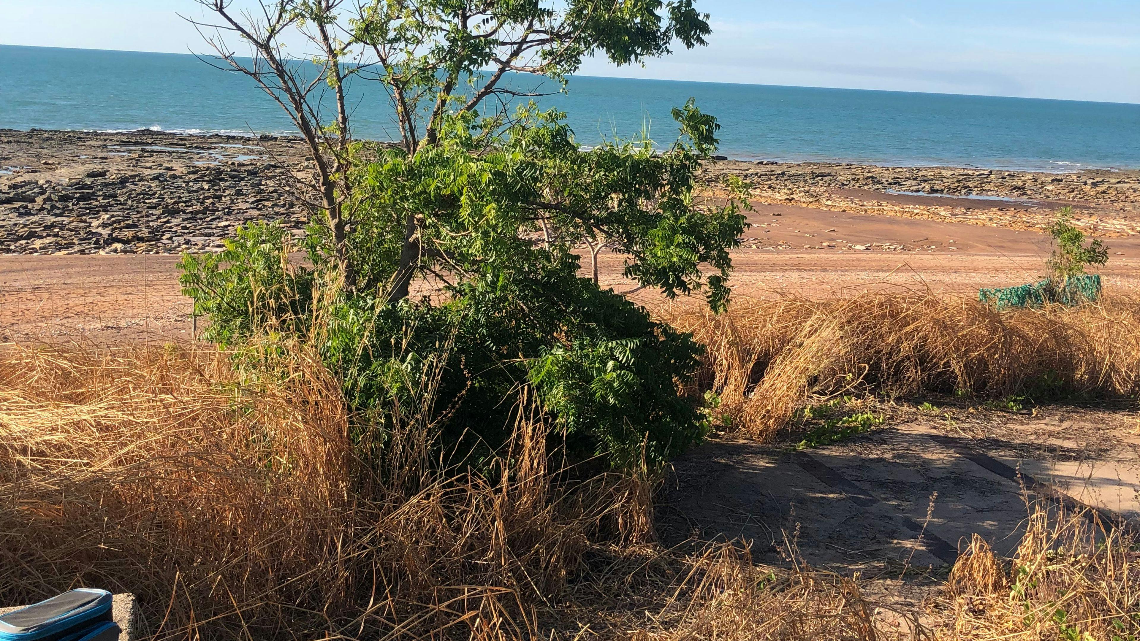 Wagait Bush Block
