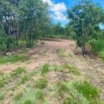 Berry Springs Park and Stay