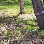Weddell Caravan Park