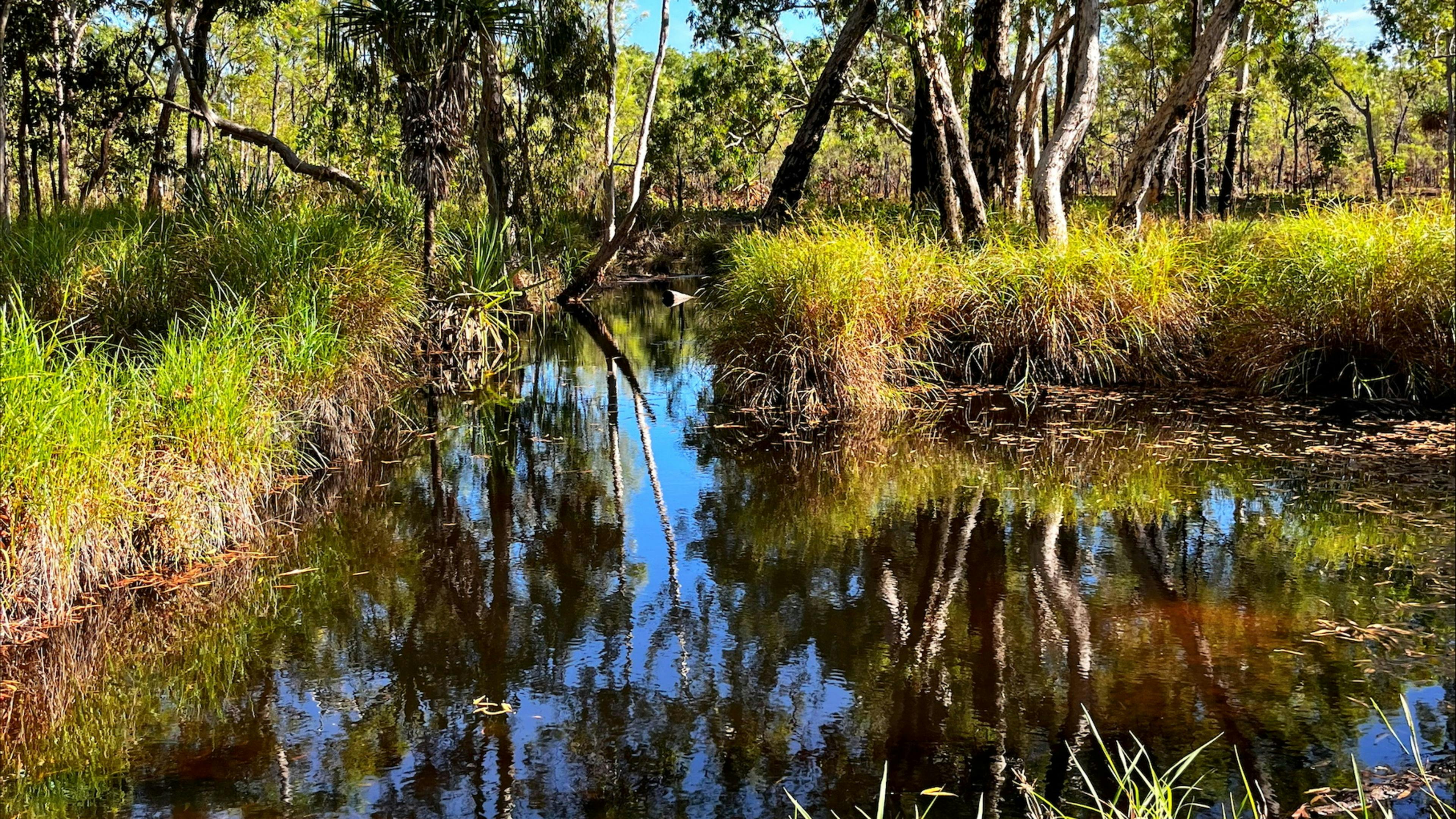 Anniversary Ridge Wilderness Park