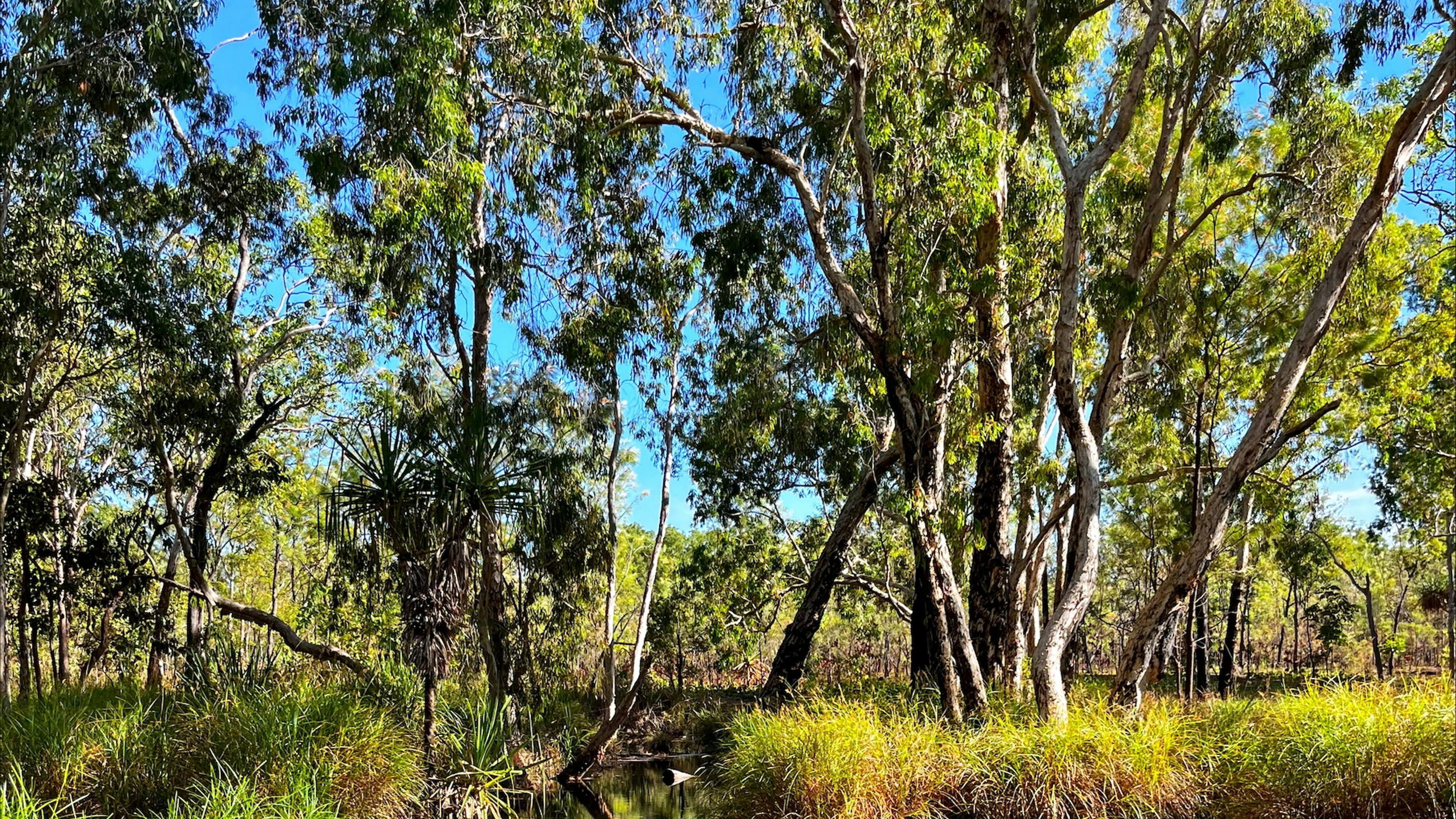 Anniversary Ridge Wilderness Park