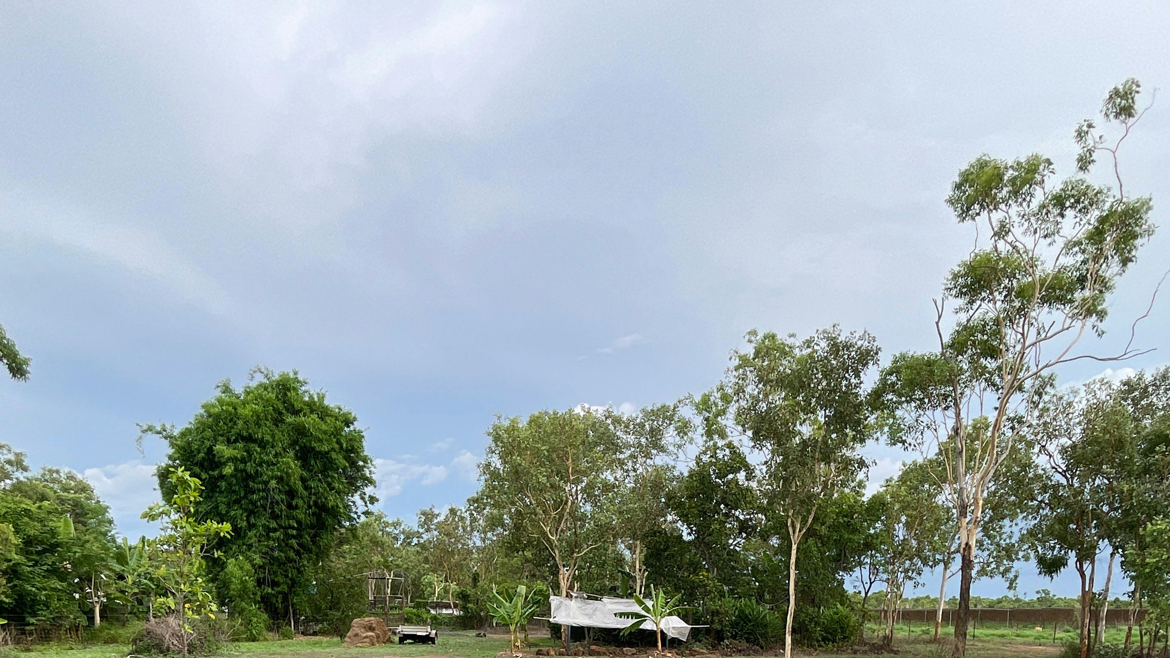 Williams family farm