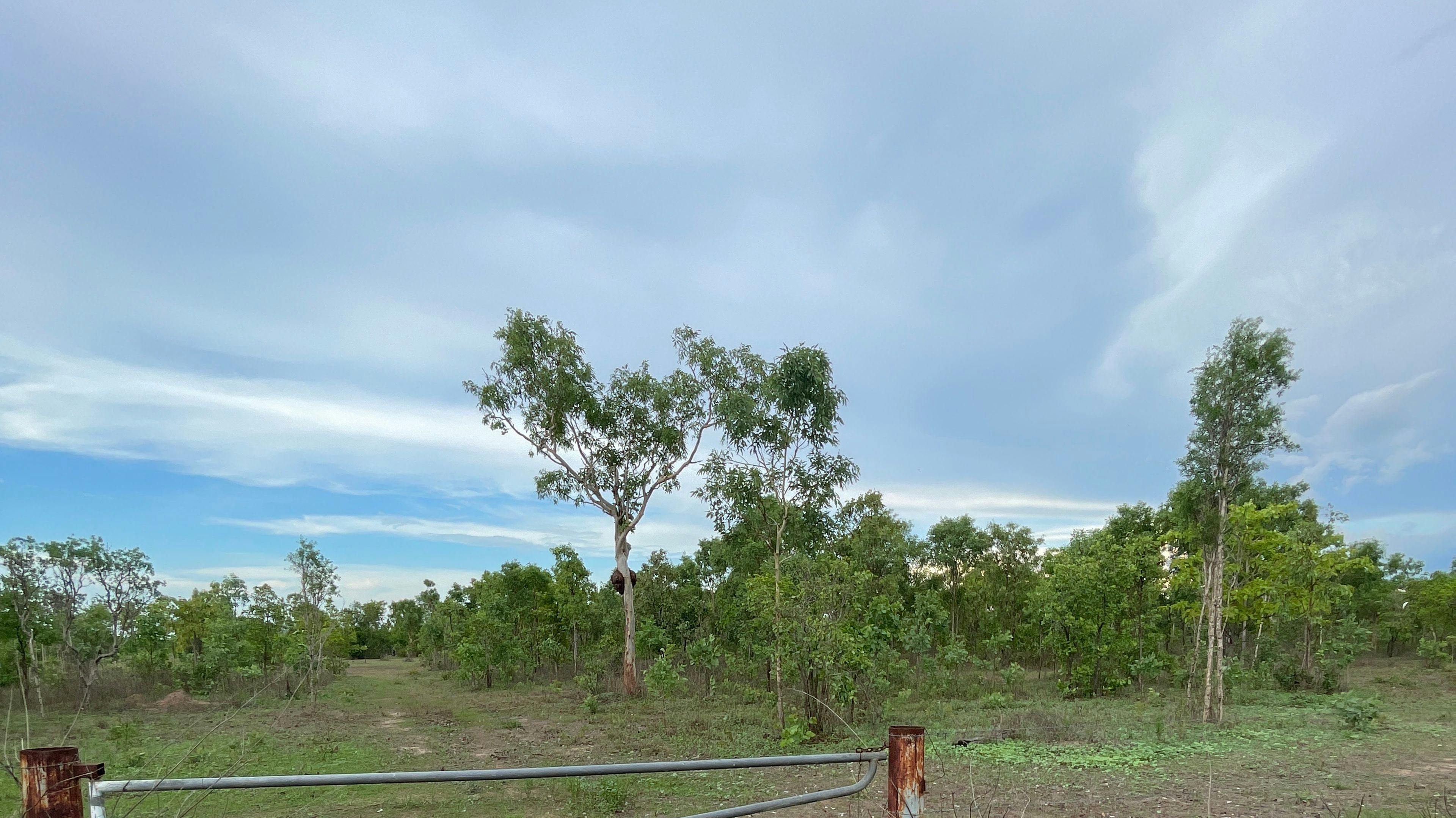 Williams Family Farm