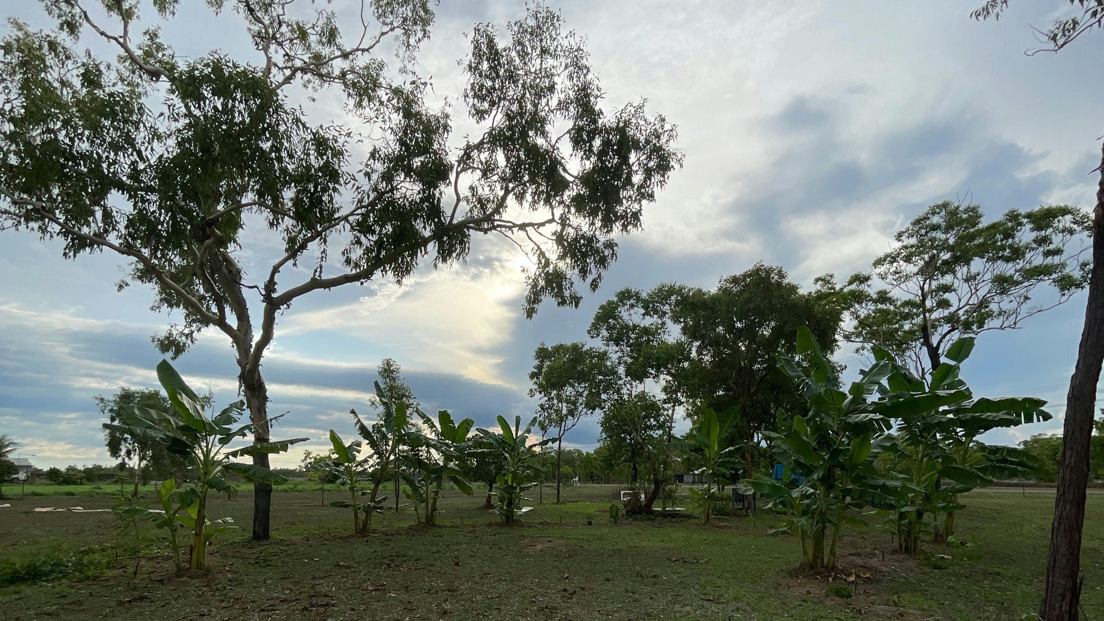 Williams family farm