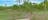 Williams Family Farm