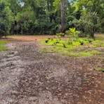 Middle Camp & Stay - Dundee