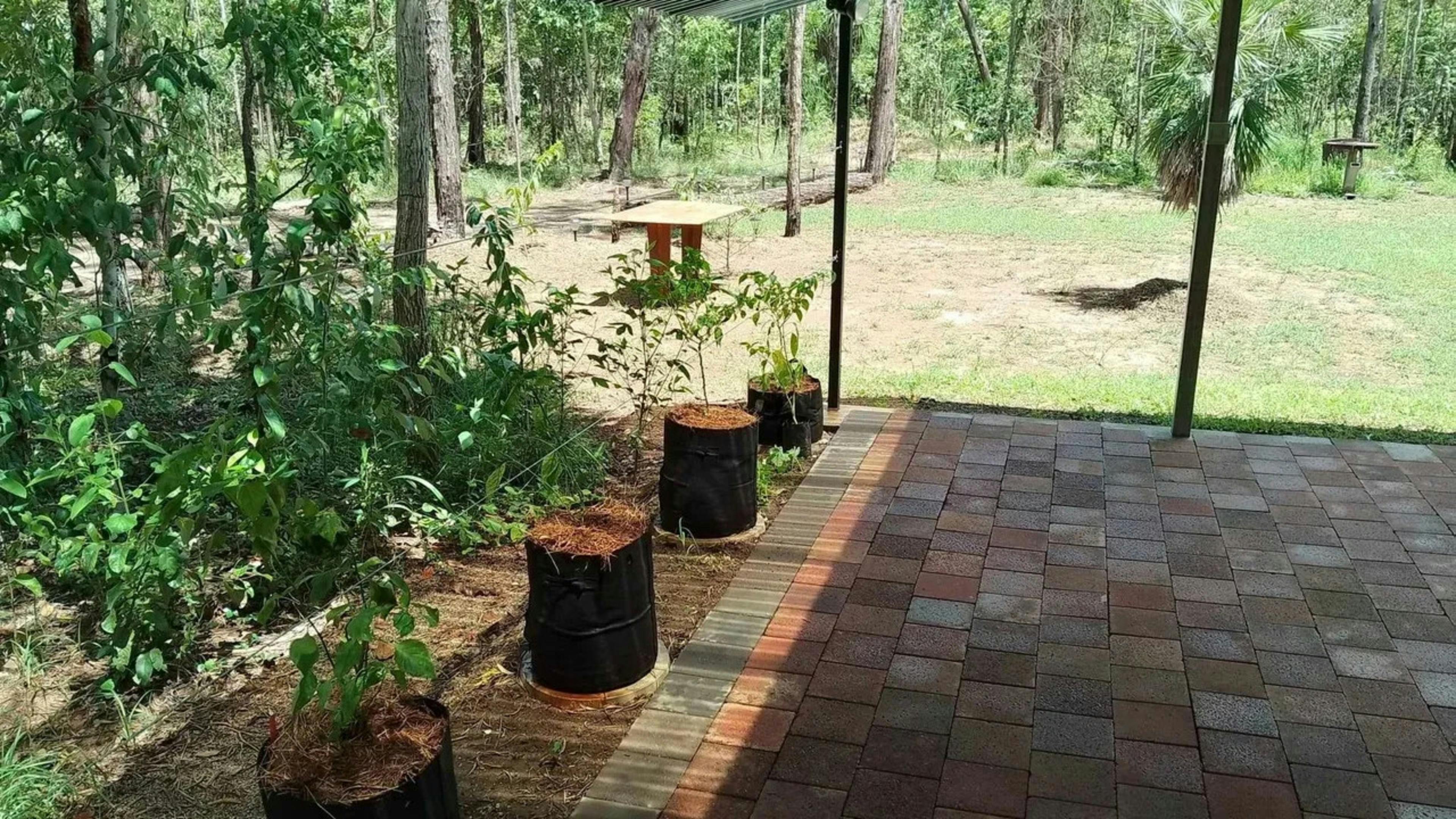 Leaning Tree Manor