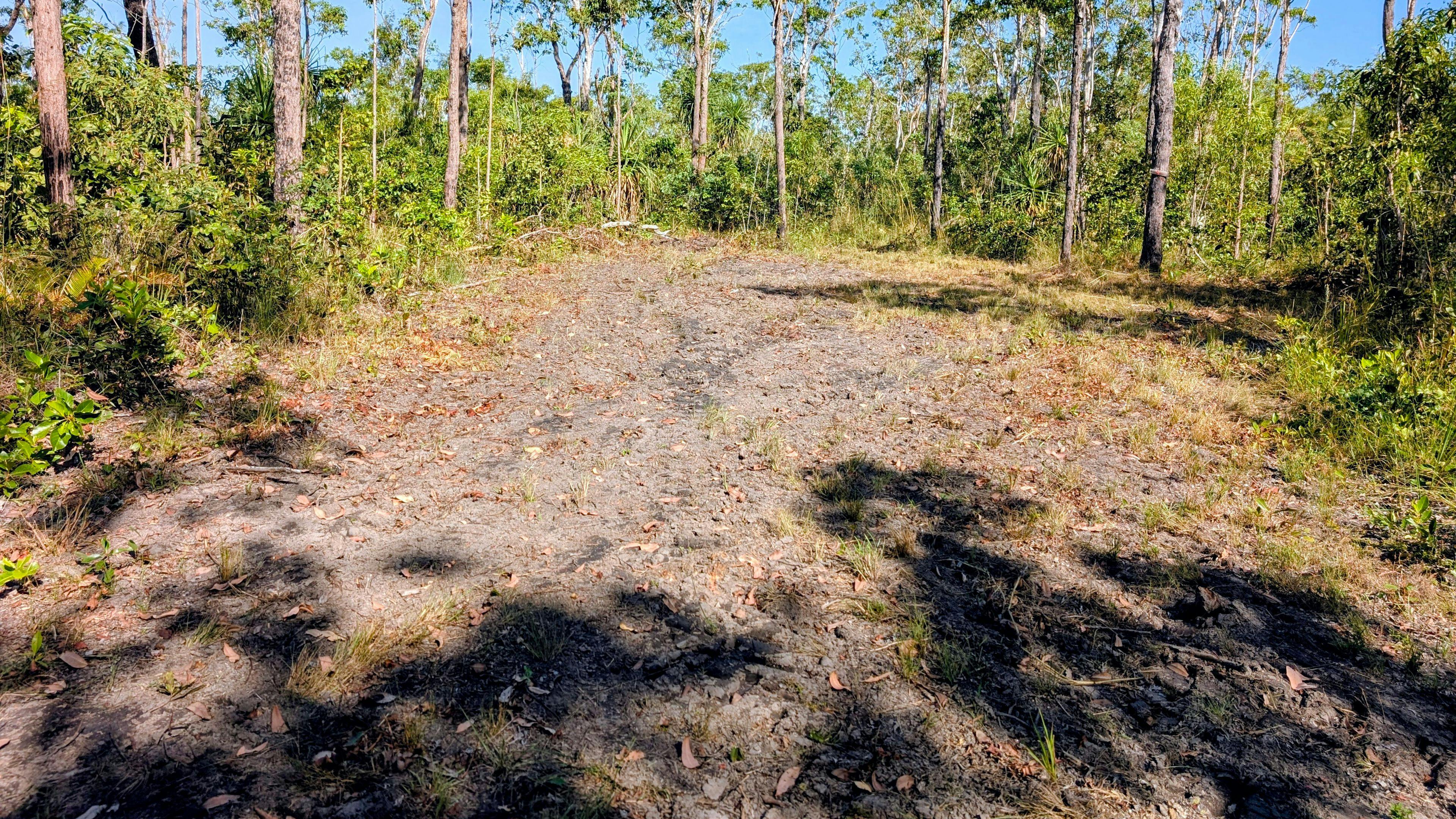Banksai Bush Sites