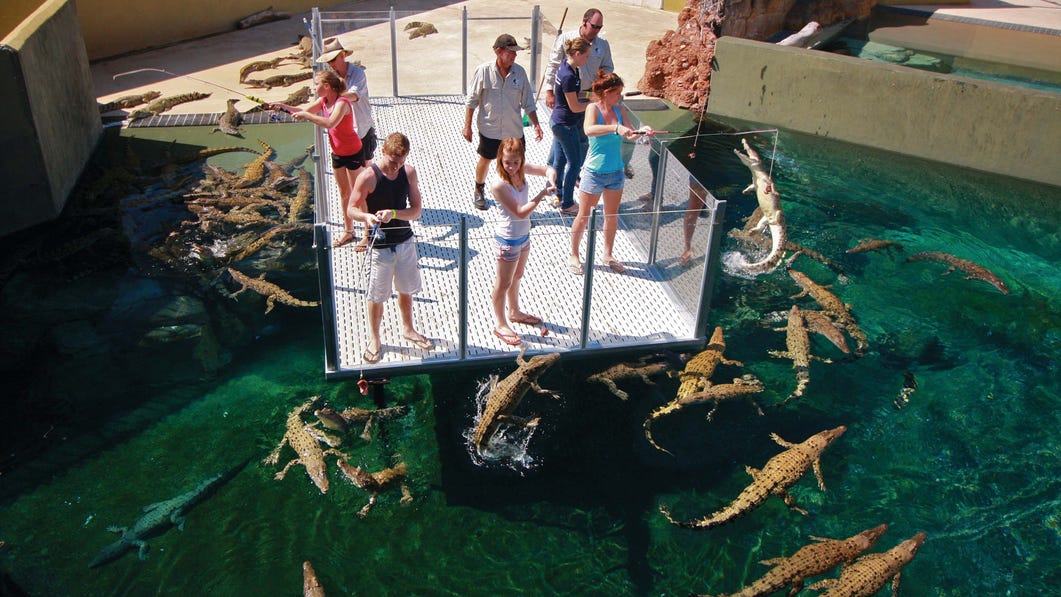 4 Cage of Death in Darwin image2
