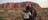 Couple standing together looking at Uluru at sunset