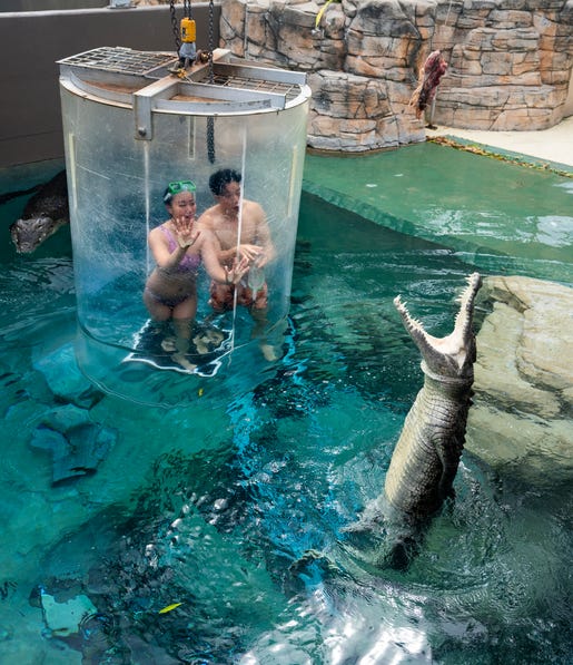 Couple-in-Cage-of-Death-dive