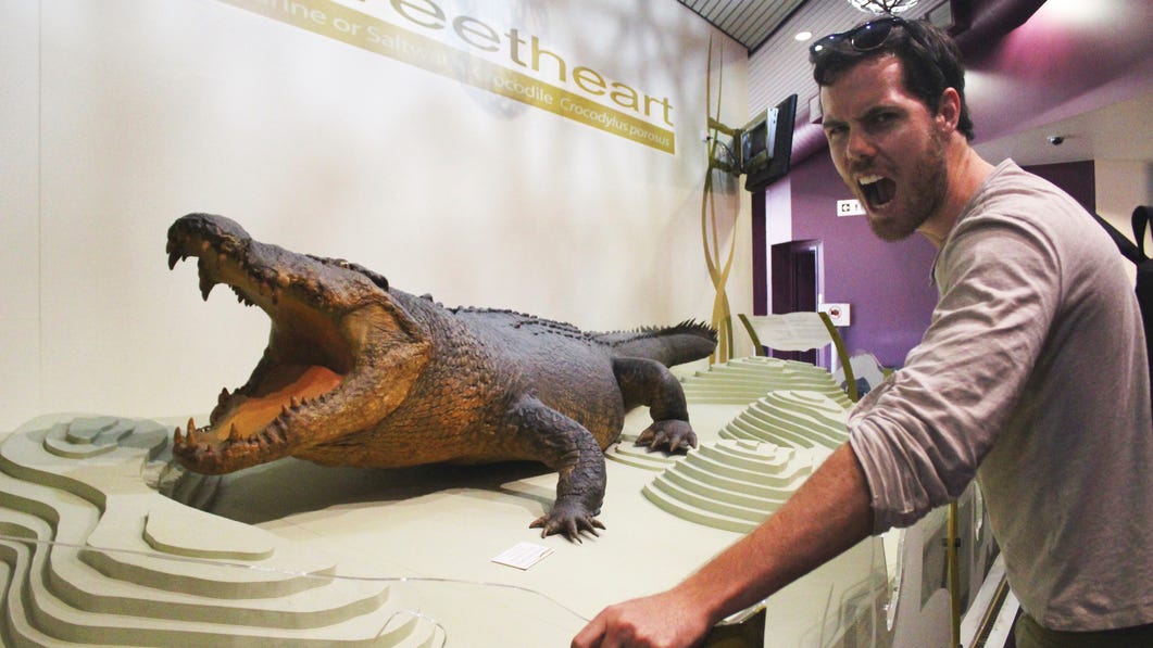 6-Darwin Museum and Art Gallery in Darwin Sweetheart exhibition