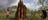 Visitors posing for a photograph with a termite mound in Kakadu