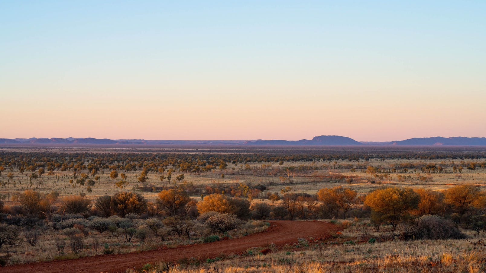outback dirt road at ooraminna homestead in central australia