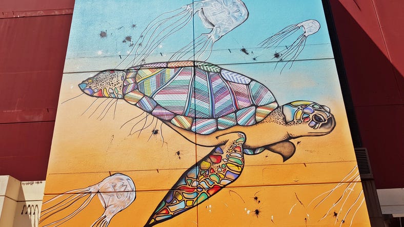 Street Art in Darwin City - large sea turtle painting