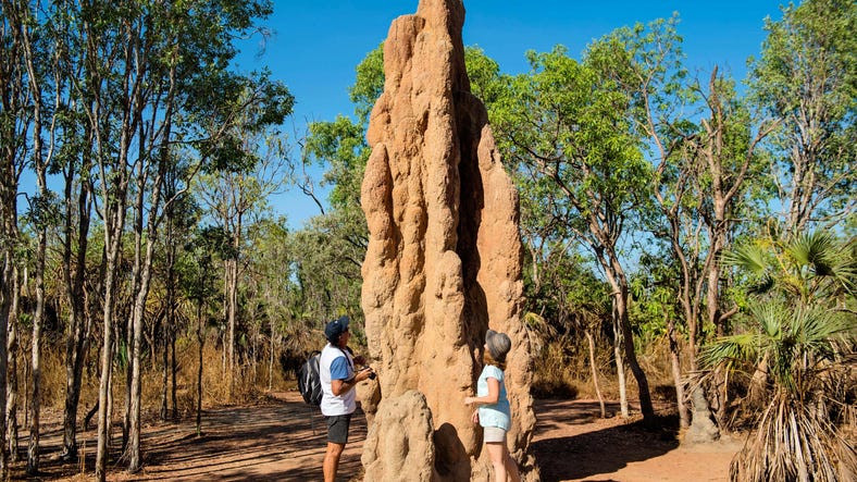 A couple looking up at the magnetic termite mound in the Litchfield National Park holding a camera