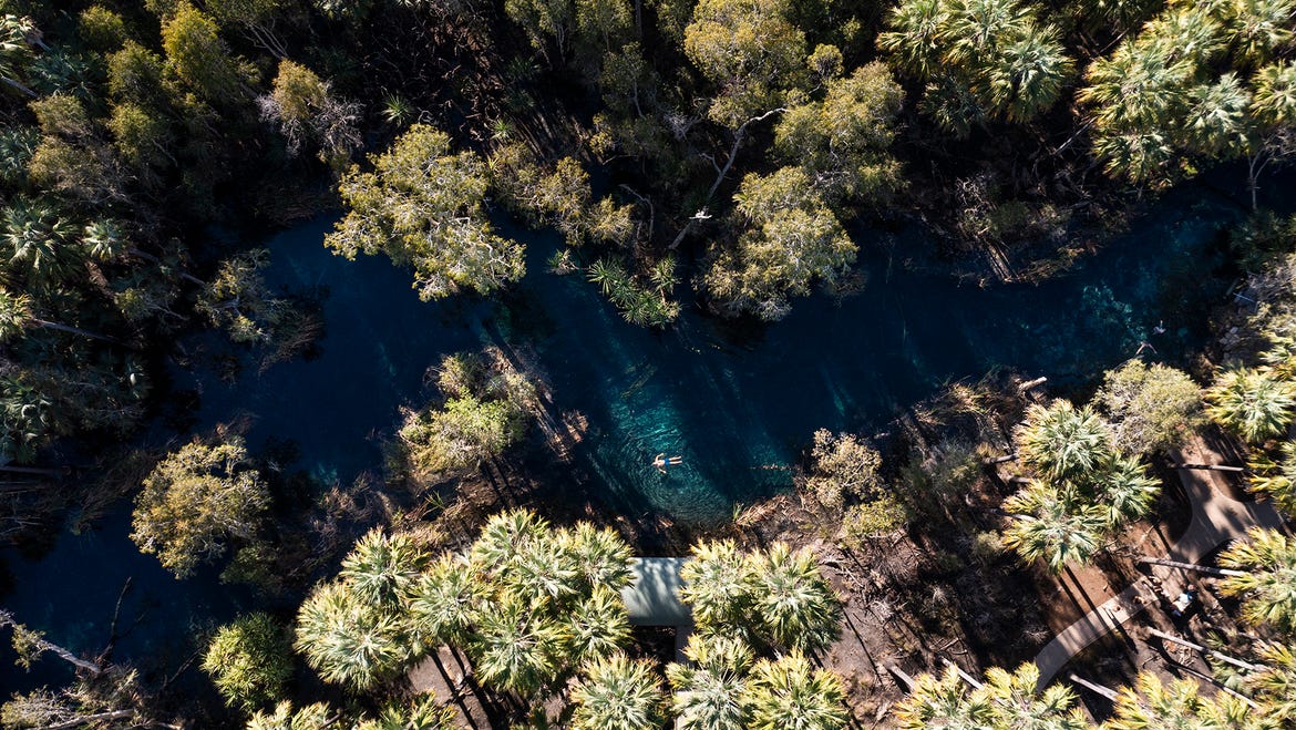 Bitter Springs swimming - Katherine region - Savannah Way NT
