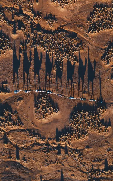 Aerial view of a camel train in Alice Springs