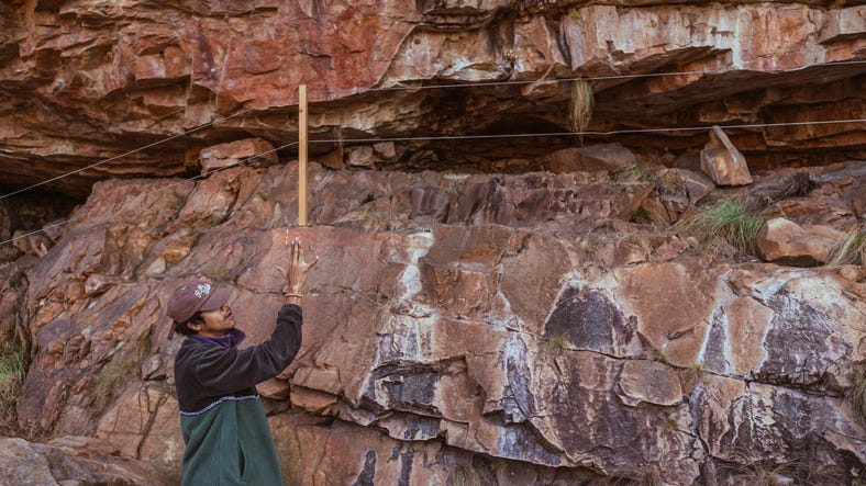 Guide explaining rock art