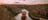 Girl standing on the edge of a weaving escarpment in Katherine Gorge at sunset