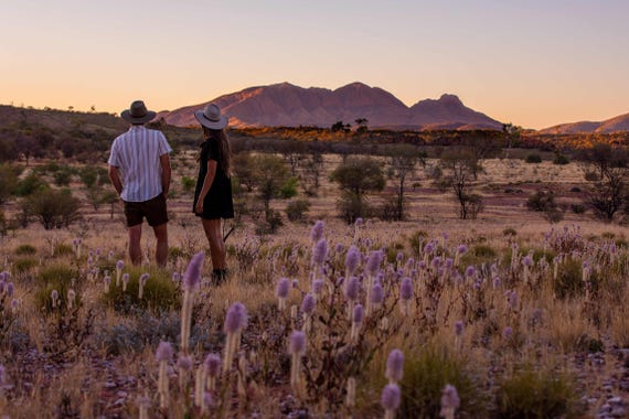 爱丽斯泉（Alice Springs）周边自然风光与野生物种