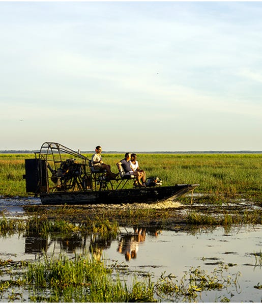 Air Boat Tour Bamurru