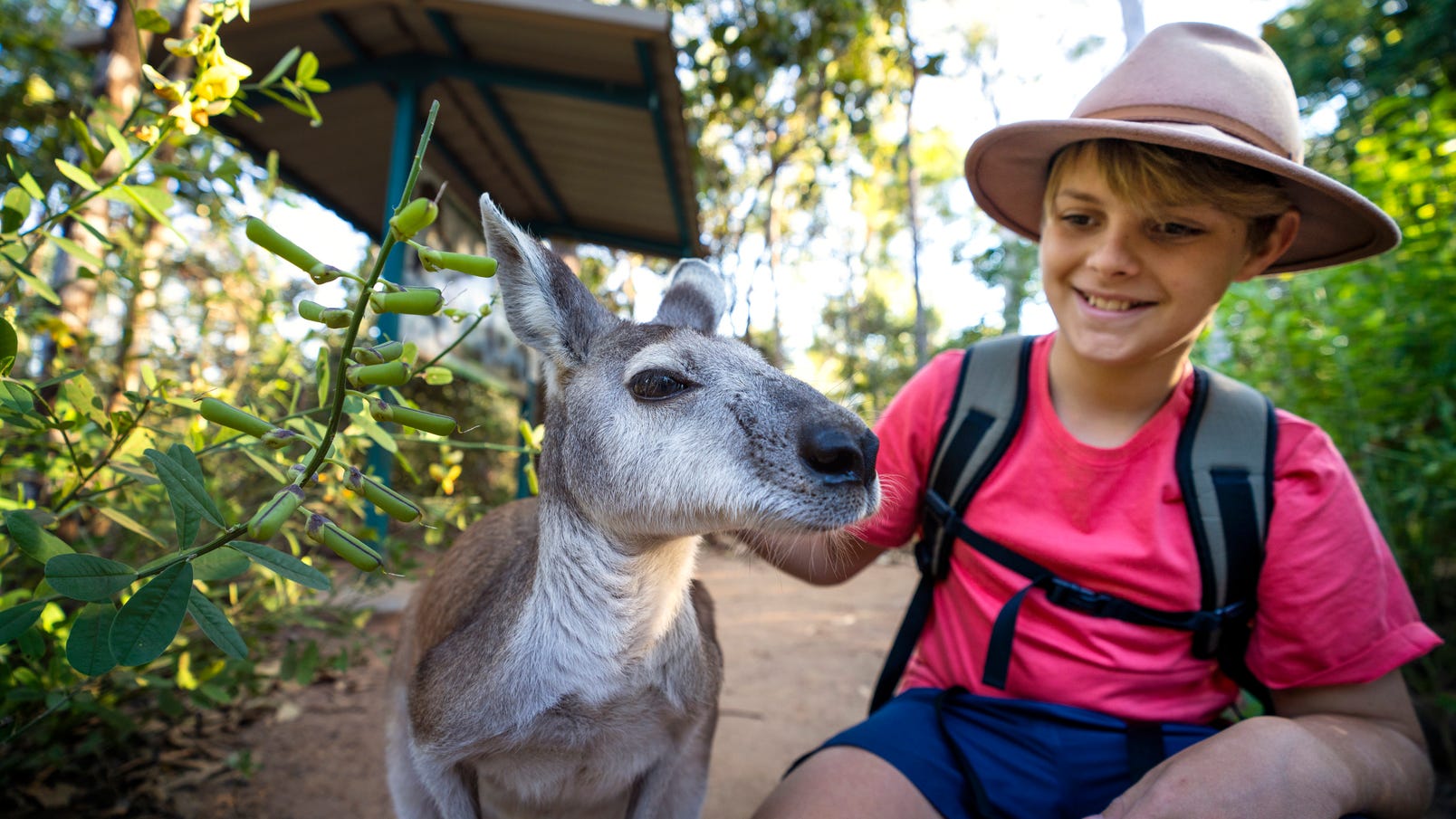 boy-with-wallaby-at-Territory-Wildlife-Park