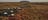longitude-131-aerial-shot,-d-,jpg