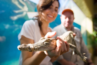 Woman holding a baby crocodile