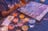 Meet the artists: Red Centre Arts Trail