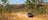 Self-drive touring in Kakadu